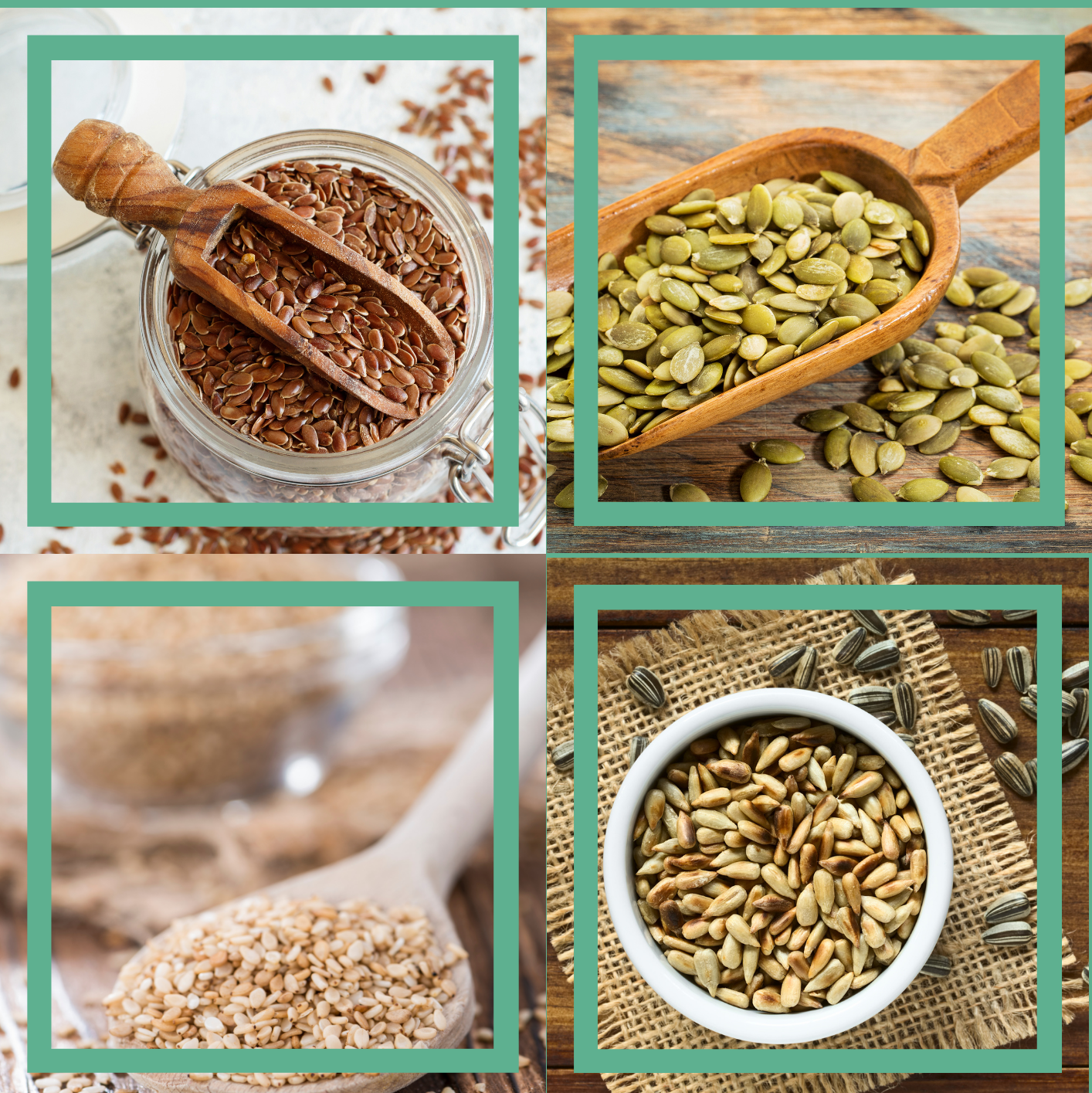 seedcycling pumpkin seeds flaxseed seedcyclingtribe sunflower seeds sesame seeds